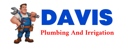 Trusted plumber in REFORM